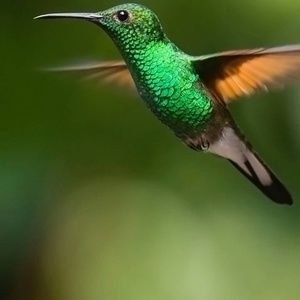 Meet your Posher, Brenda